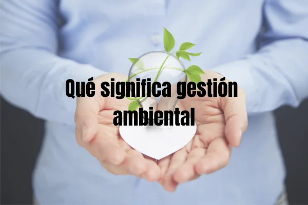 Cosa significa gestione ambientale?